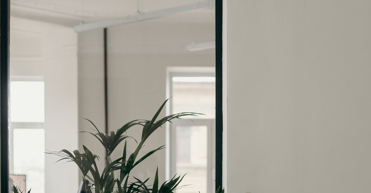 Key Tips for Preventing Damage While Replacing a Laptop Screen