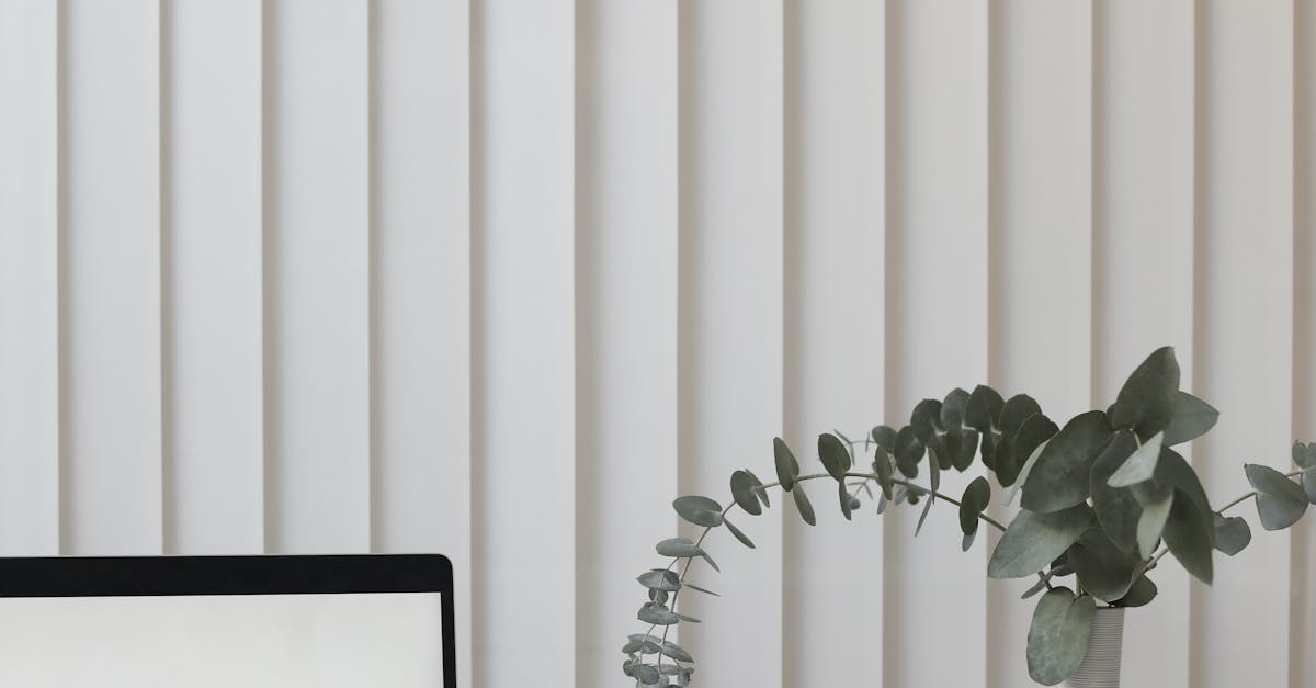 Urgent Laptop Screen Repairs: Fast Options in Sydney